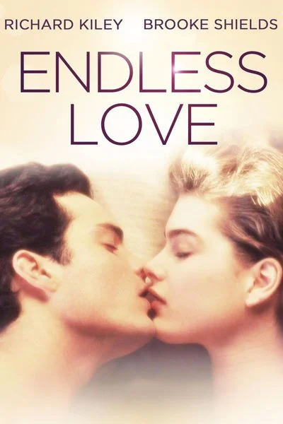 Affiche Endless Love