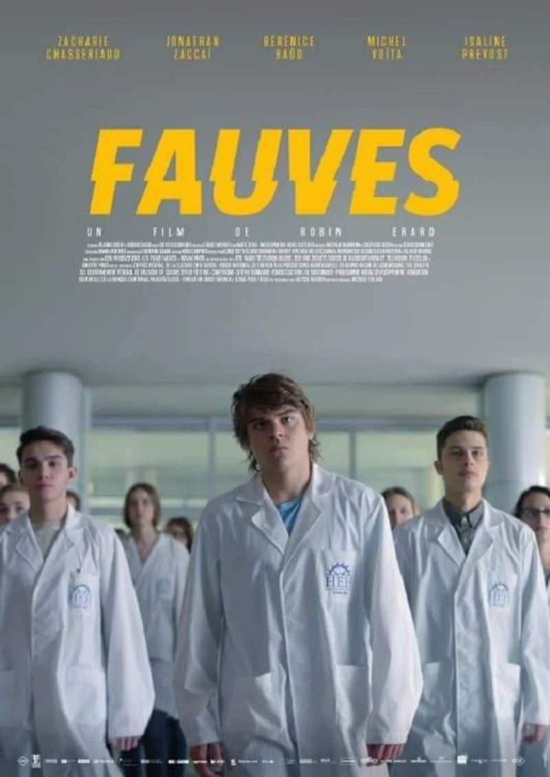 Affiche de Fauves
