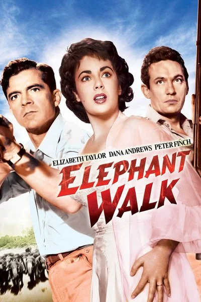 Affiche Elephant Walk