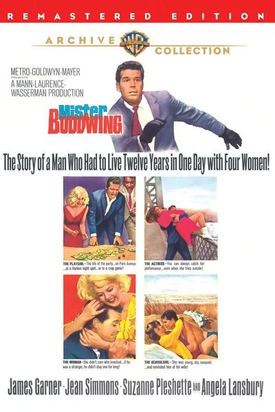 Poster Mister Buddwing