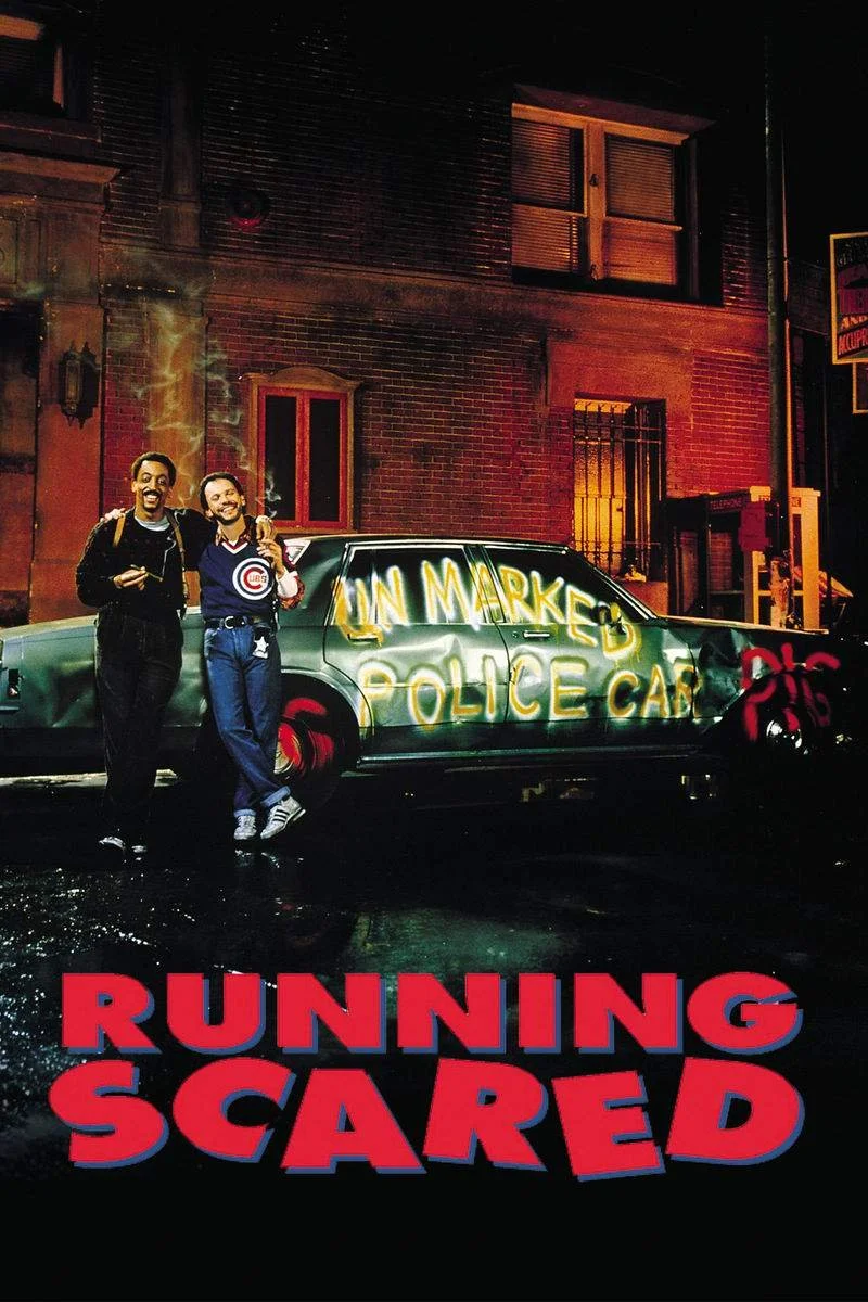 Affiche de Deux flics à Chicago