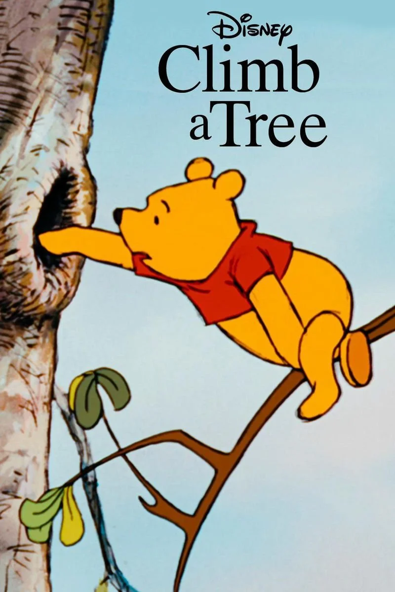 Affiche de Climb a Tree