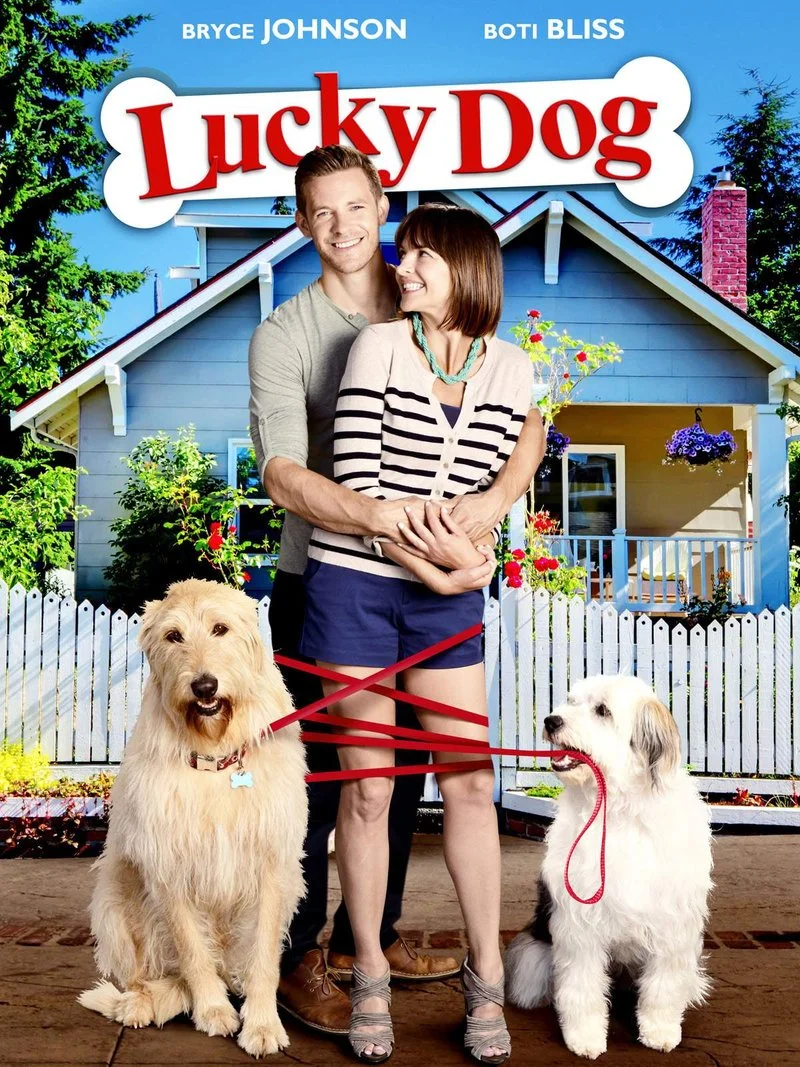 Affiche de Lucky Dog
