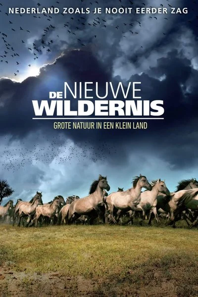 Poster De nieuwe wildernis