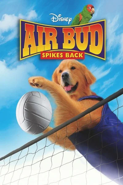 Affiche Air Bud: L'as du Volley-ball