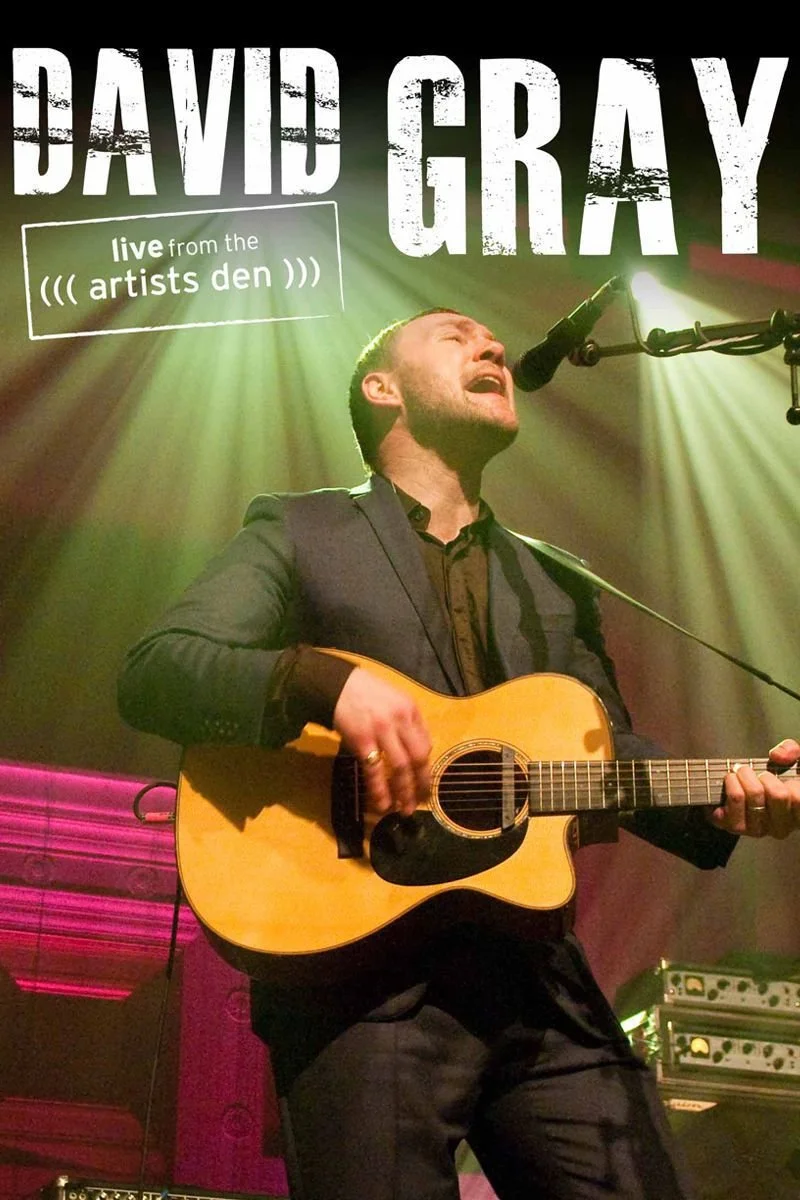 Poster van David Gray: Live from the Artists Den