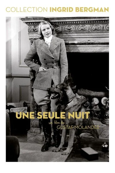 Affiche Une seule nuit