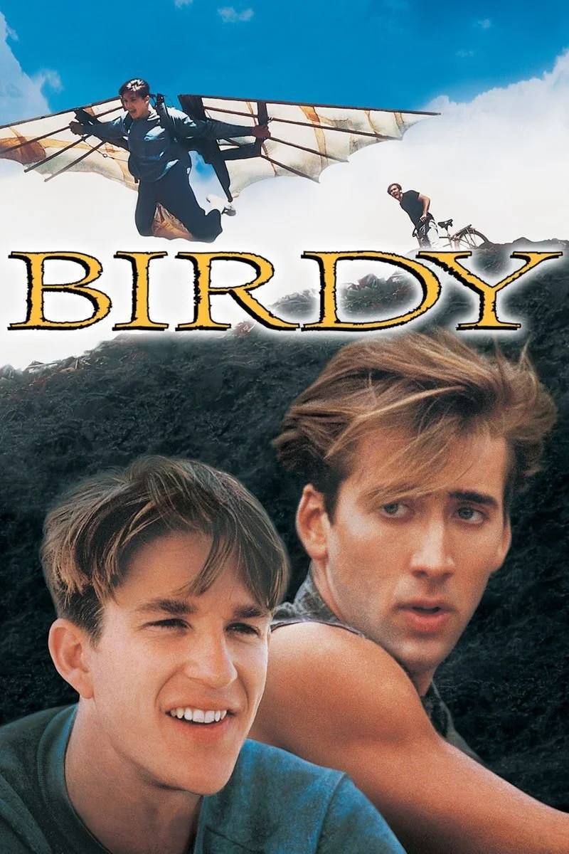 Affiche de Birdy