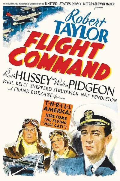 Affiche Flight Command