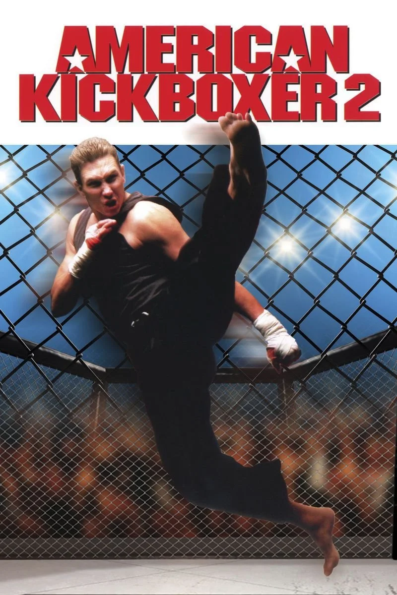 Poster van American Kickboxer 2