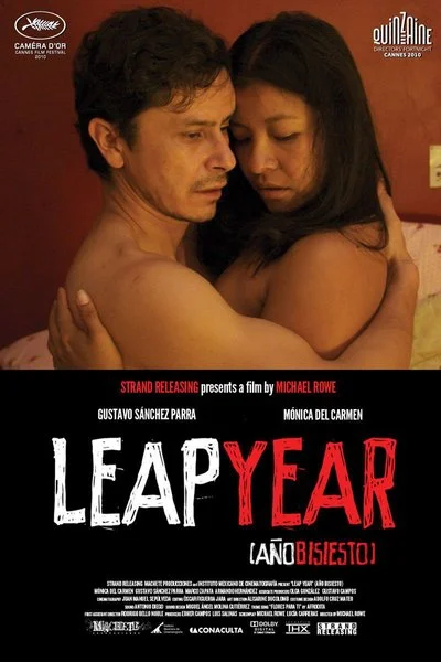 Affiche Leap Year