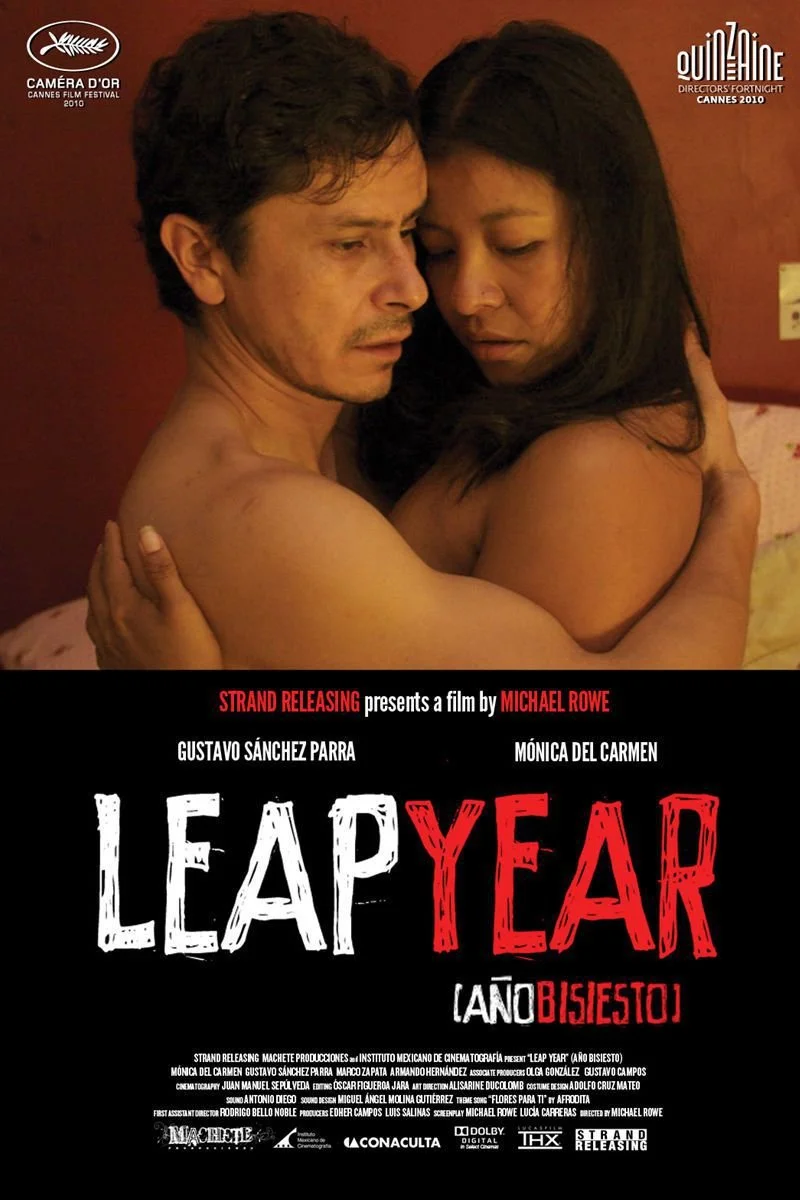 Affiche de Leap Year