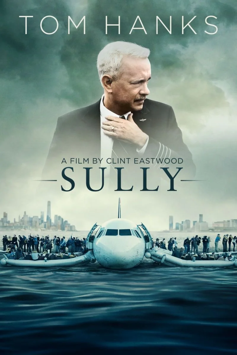 Affiche de Sully