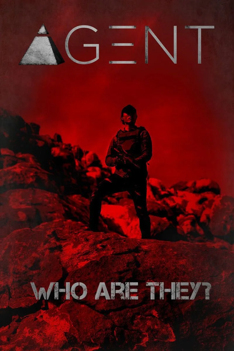 Affiche de Agent