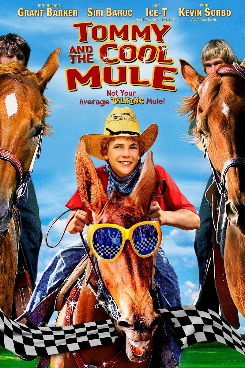 Affiche de Tommy and the Cool Mule