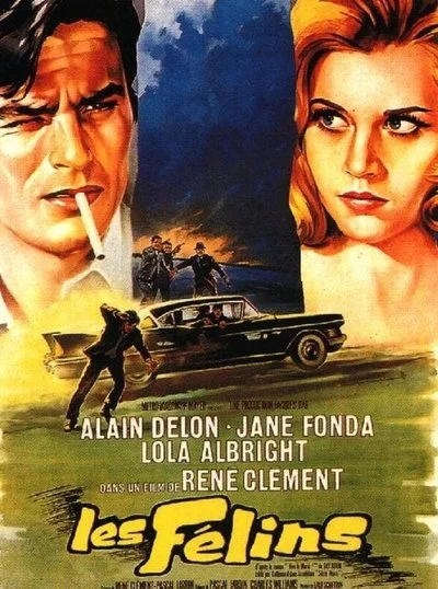 Affiche Les félins