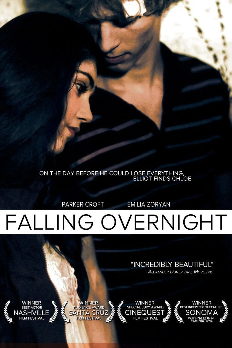 Poster van Falling Overnight