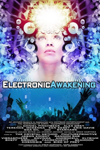 Affiche Electronic Awakening