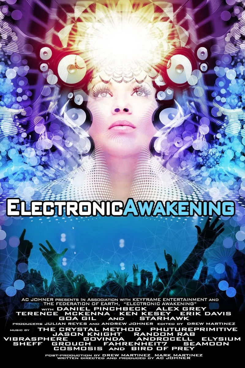 Affiche de Electronic Awakening