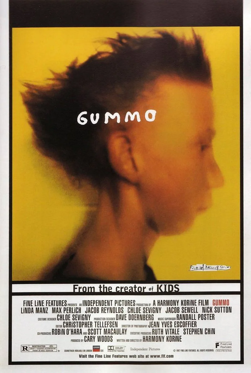 Affiche de Gummo