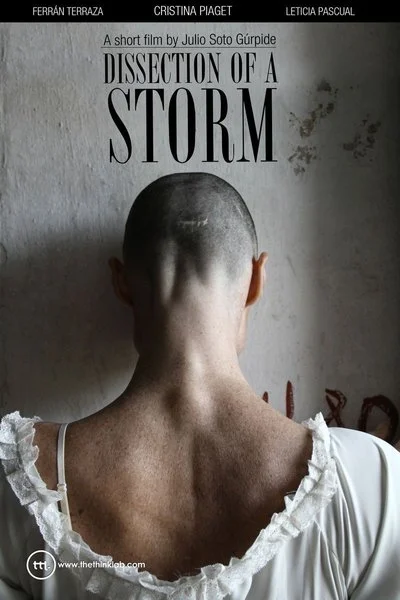 Affiche Dissection of a Storm