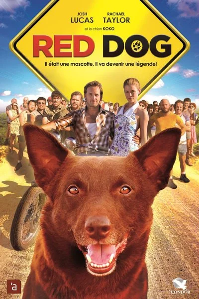 Affiche Red Dog