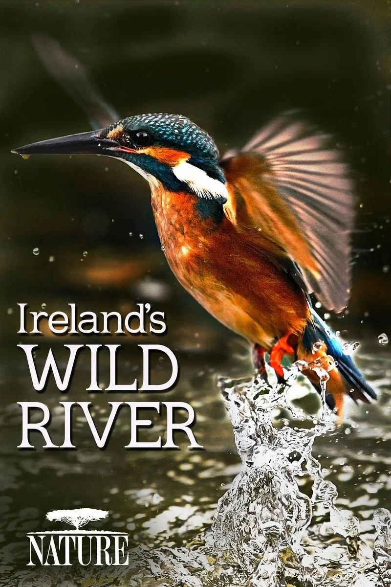 Poster van Nature: Ireland's Wild River