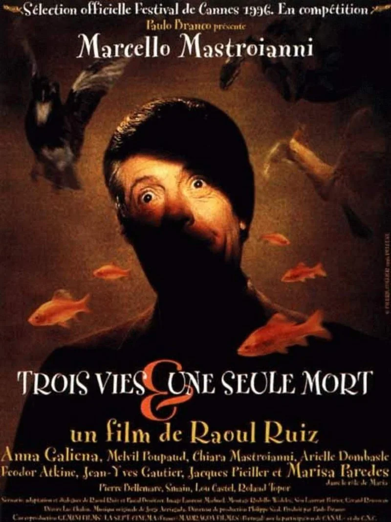 Affiche de Trois vies et une seule mort