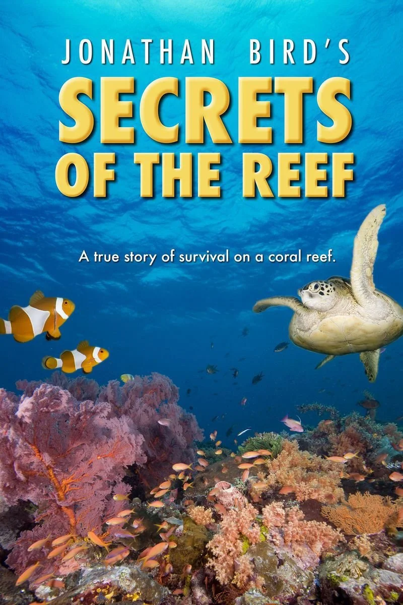 Poster van Secrets of the Reef