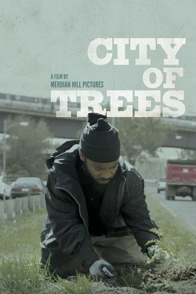 Poster City of Trees