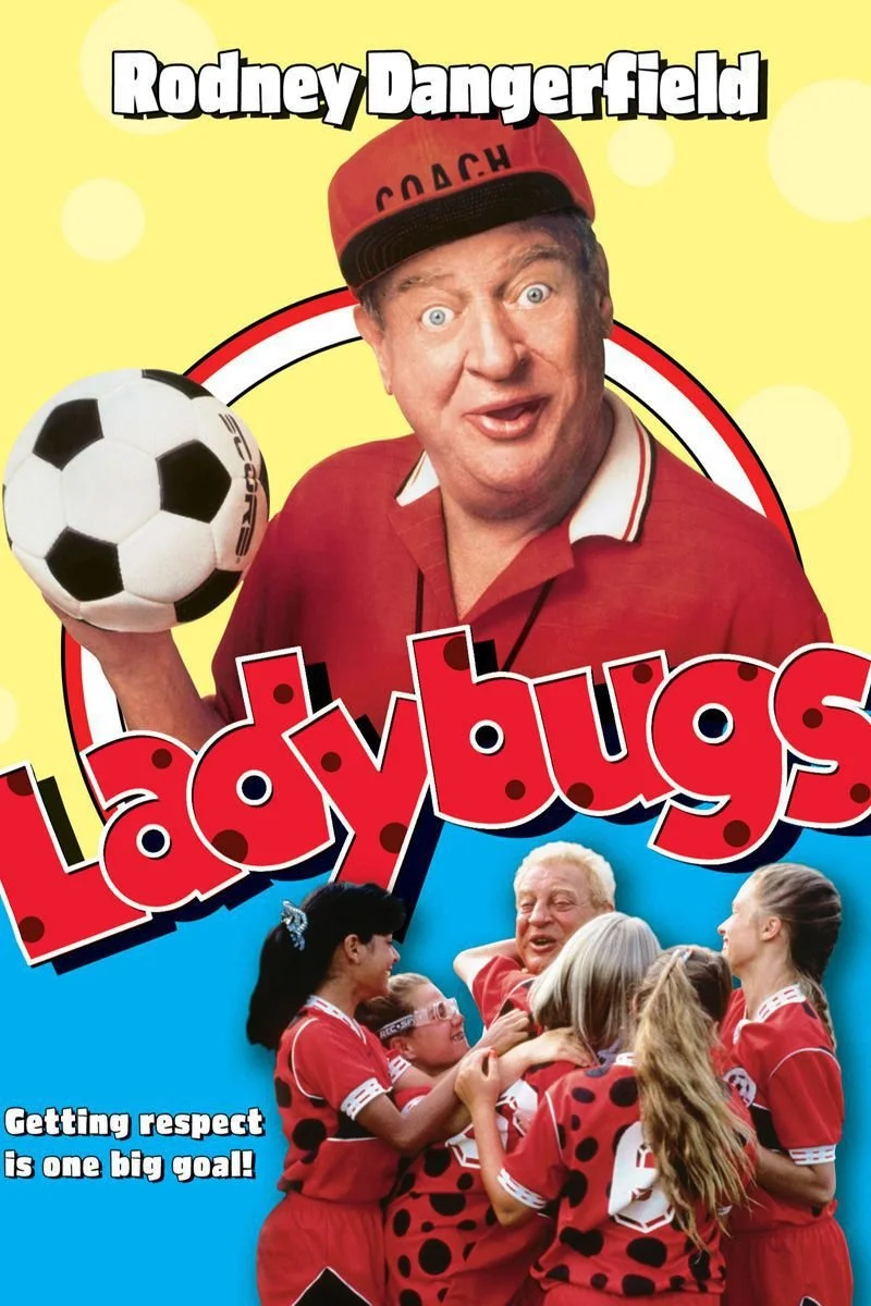 Poster van Ladybugs