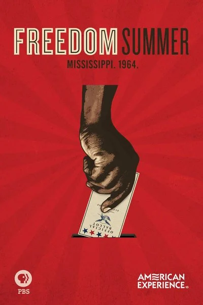 Affiche Freedom Summer