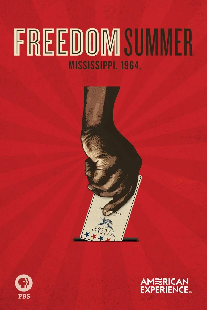 Affiche de Freedom Summer