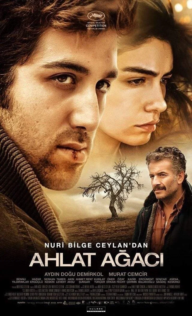 Affiche de The Wild Pear Tree