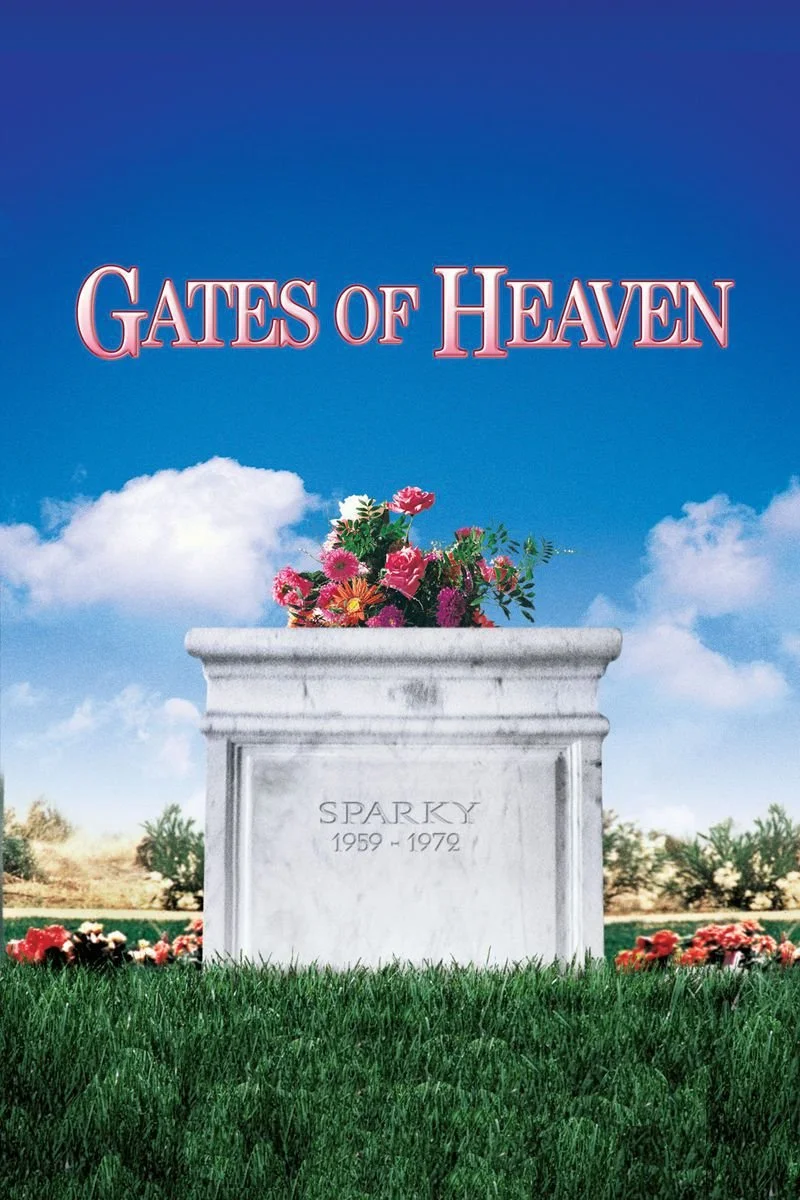 Affiche de Gates of Heaven
