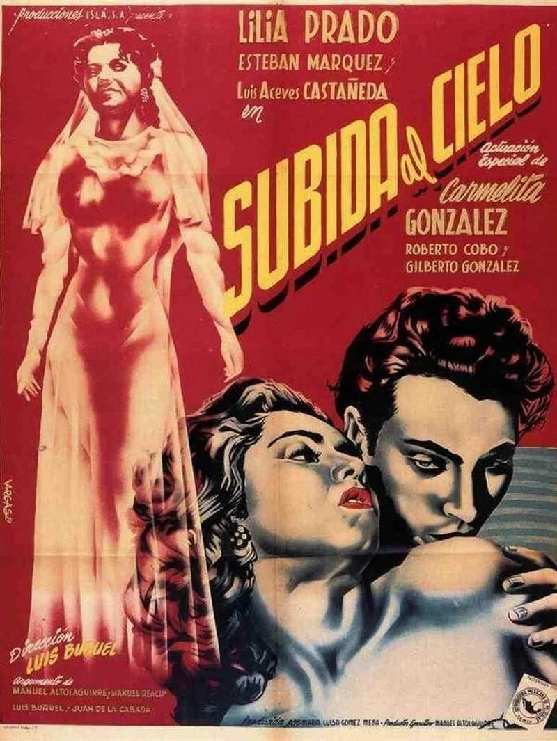 Affiche de Subida al cielo