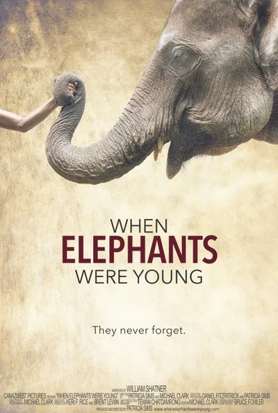 Affiche When Elephants Were Young