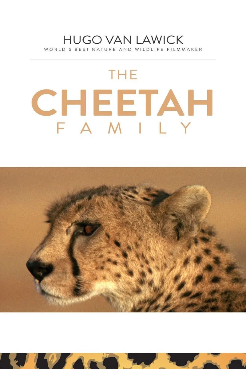 Affiche de The Cheetah Family