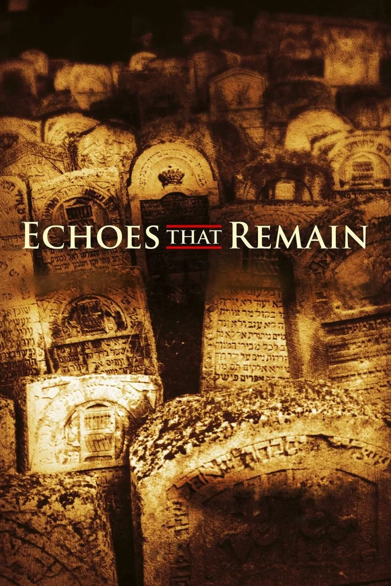 Affiche de Echoes That Remain
