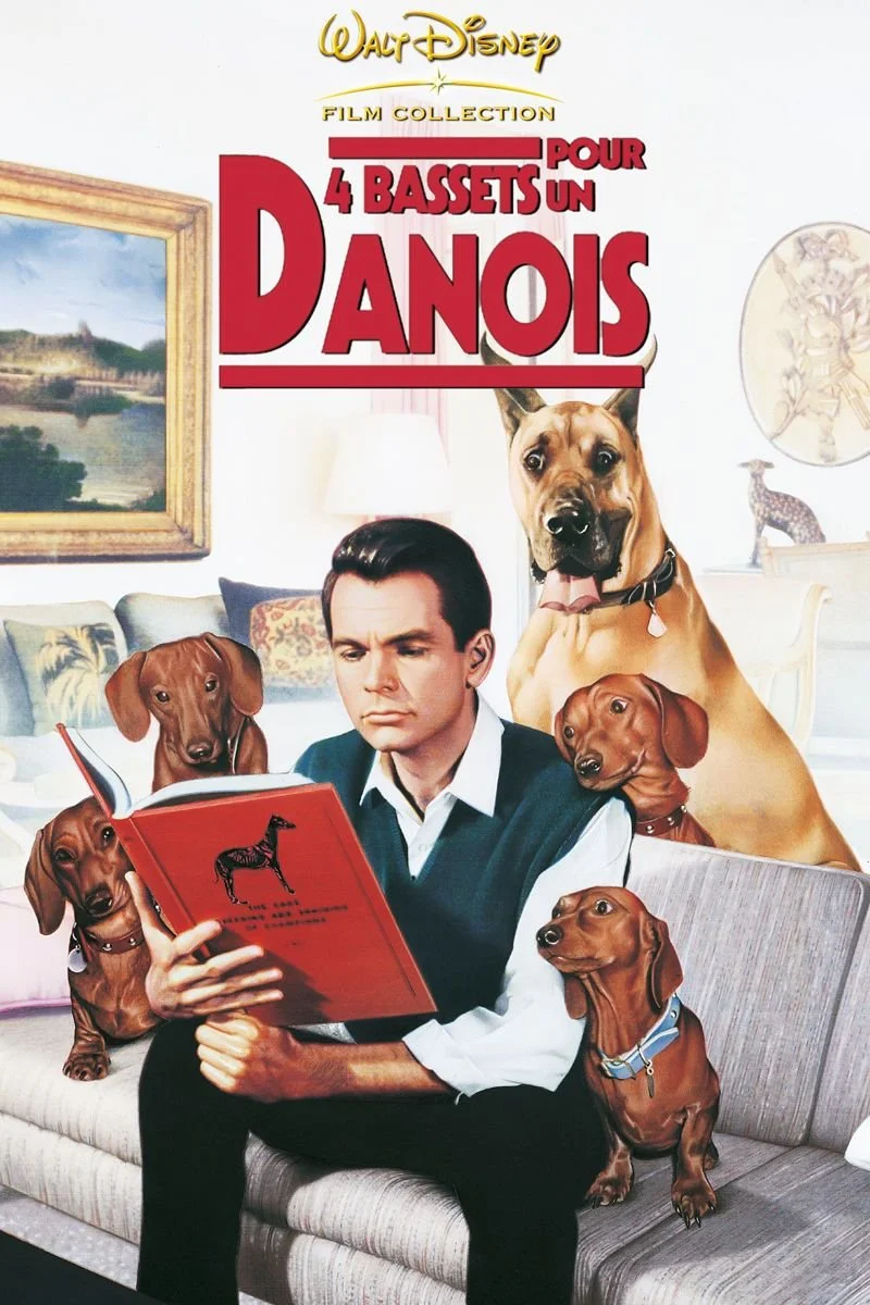 Poster van 4 bassets pour un danois