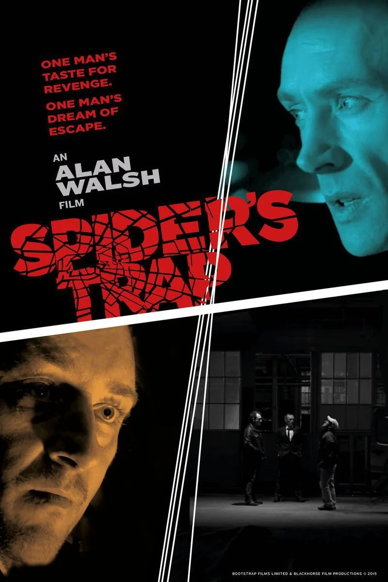 Affiche de Spider's Trap
