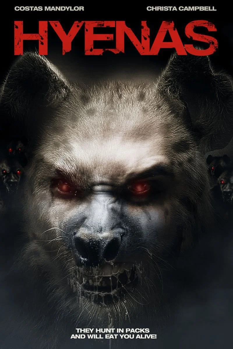 Affiche de Hyenas