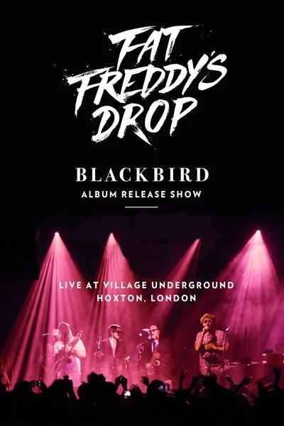 Affiche Fat Freddy's Drop - Live at Village Underground