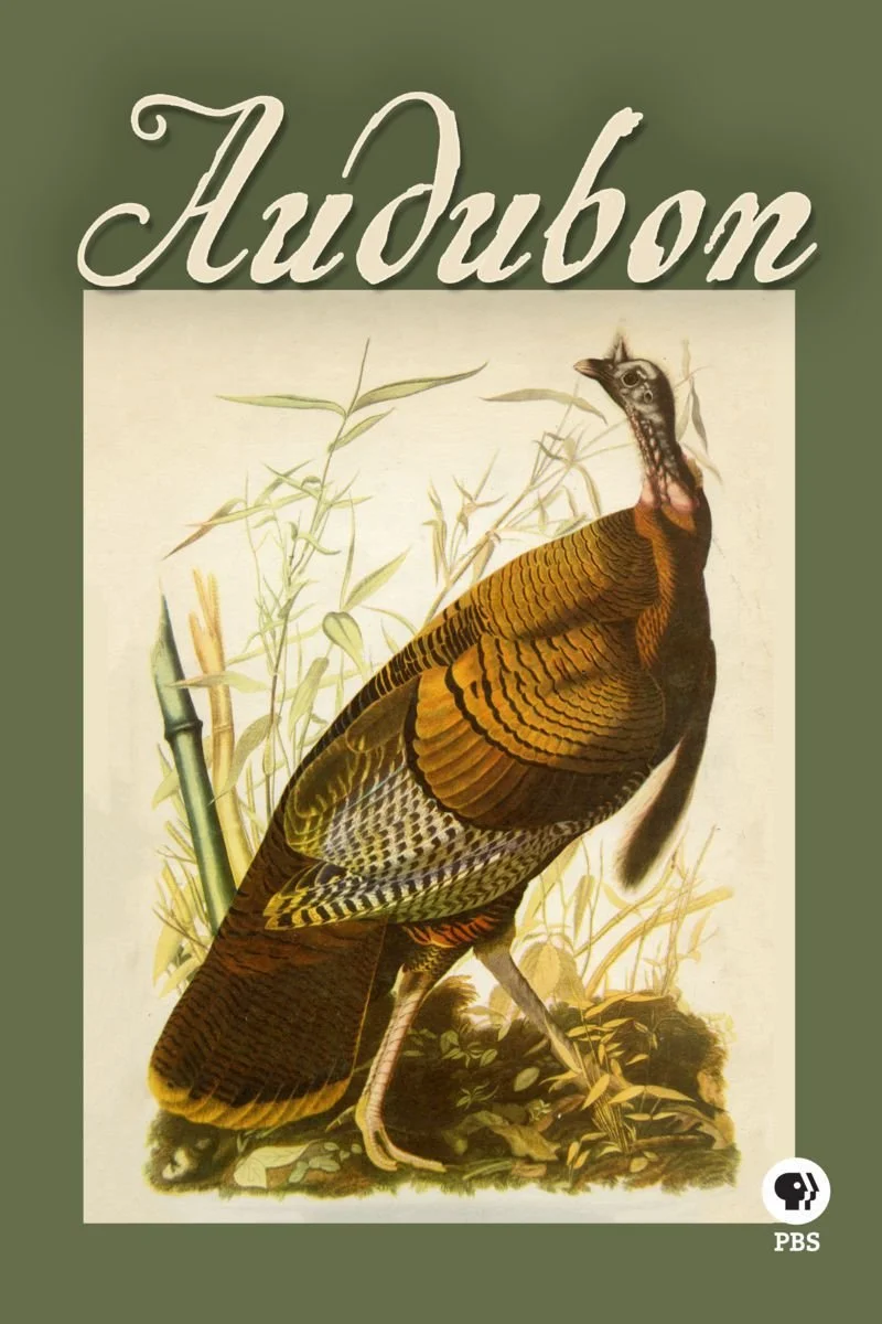 Affiche de Audubon