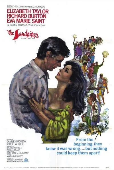 Poster The Sandpiper