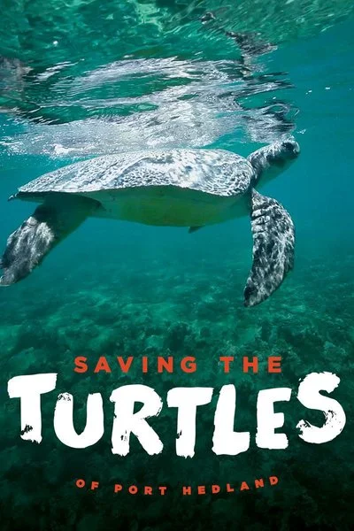 Affiche Saving the Turtles of Port Hedland