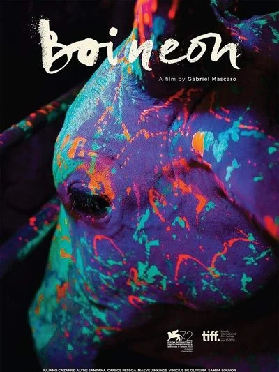 Affiche Boi Neon