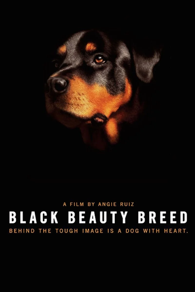 Affiche de Black Beauty Breed