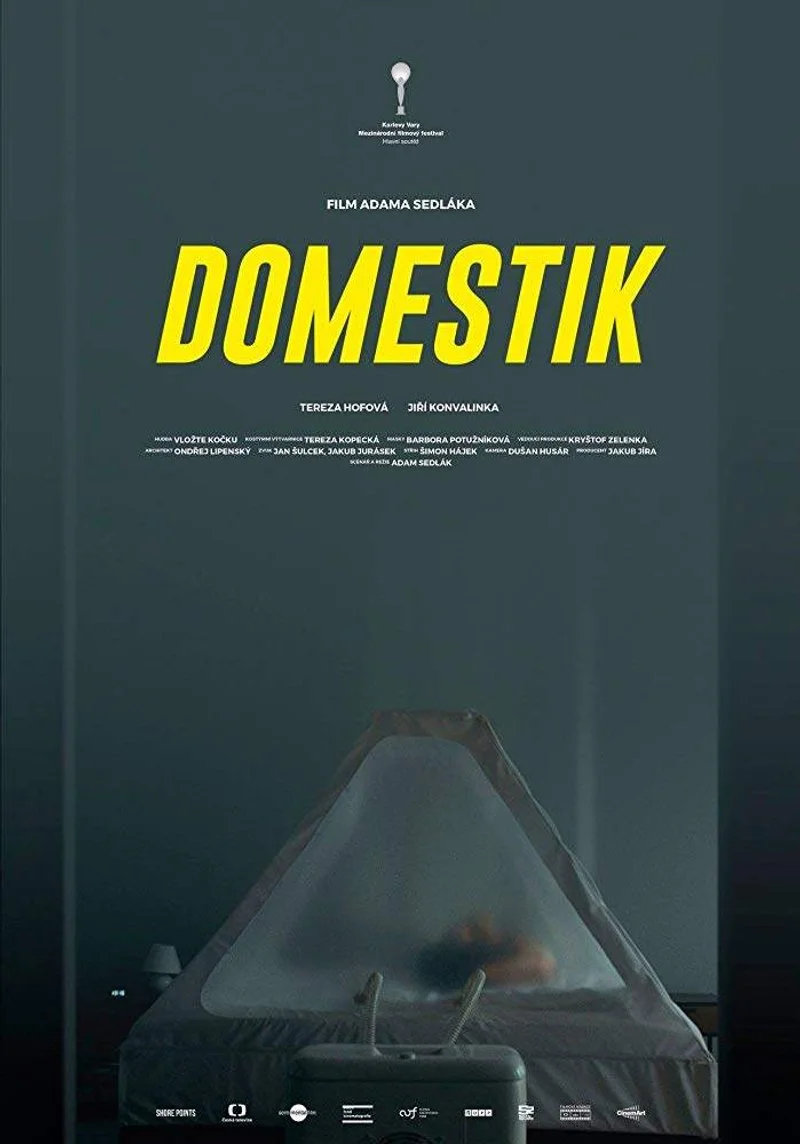 Affiche de Domestik