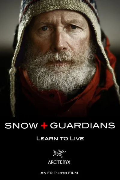 Affiche Snow Guardians